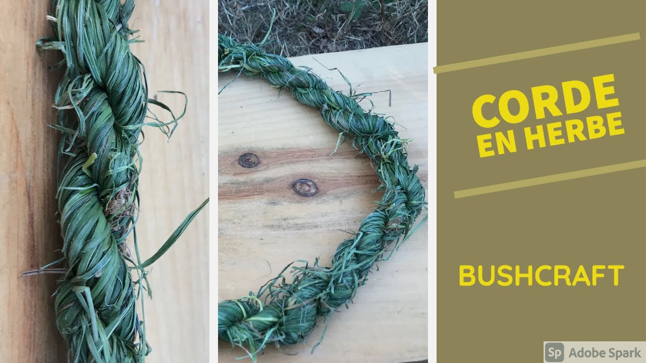 Comment faire de la CORDE en HERBE