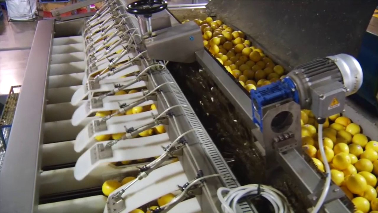 Fresh Produce Group