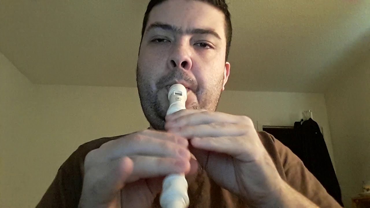 Vivaldi; the four seasons - summer on the recorder (America's got talent submission)