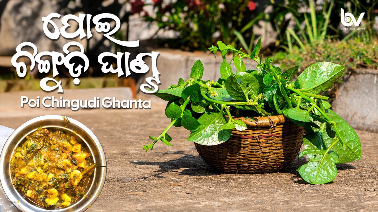 ଚିଙ୍ଗୁଡ଼ି ପୋଇ ଘାଣ୍ଟ  | Chingudi Poi Ghanta 🍤🌿@BitesandViews
