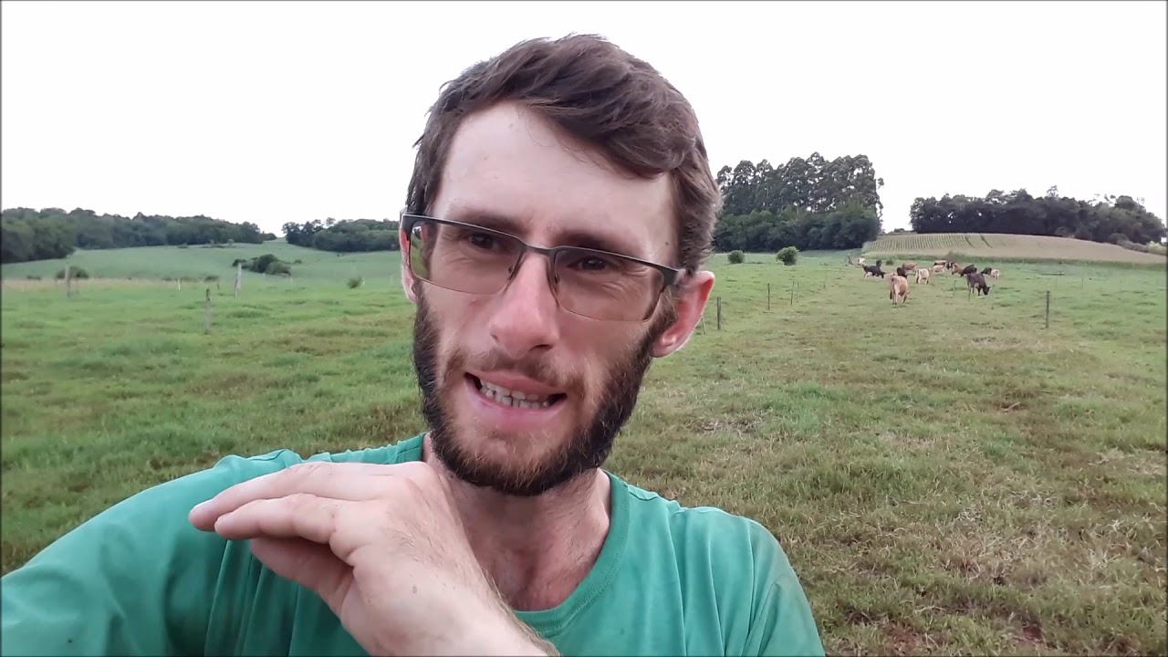 Dicas pra ro&ccedil;ar o pasto