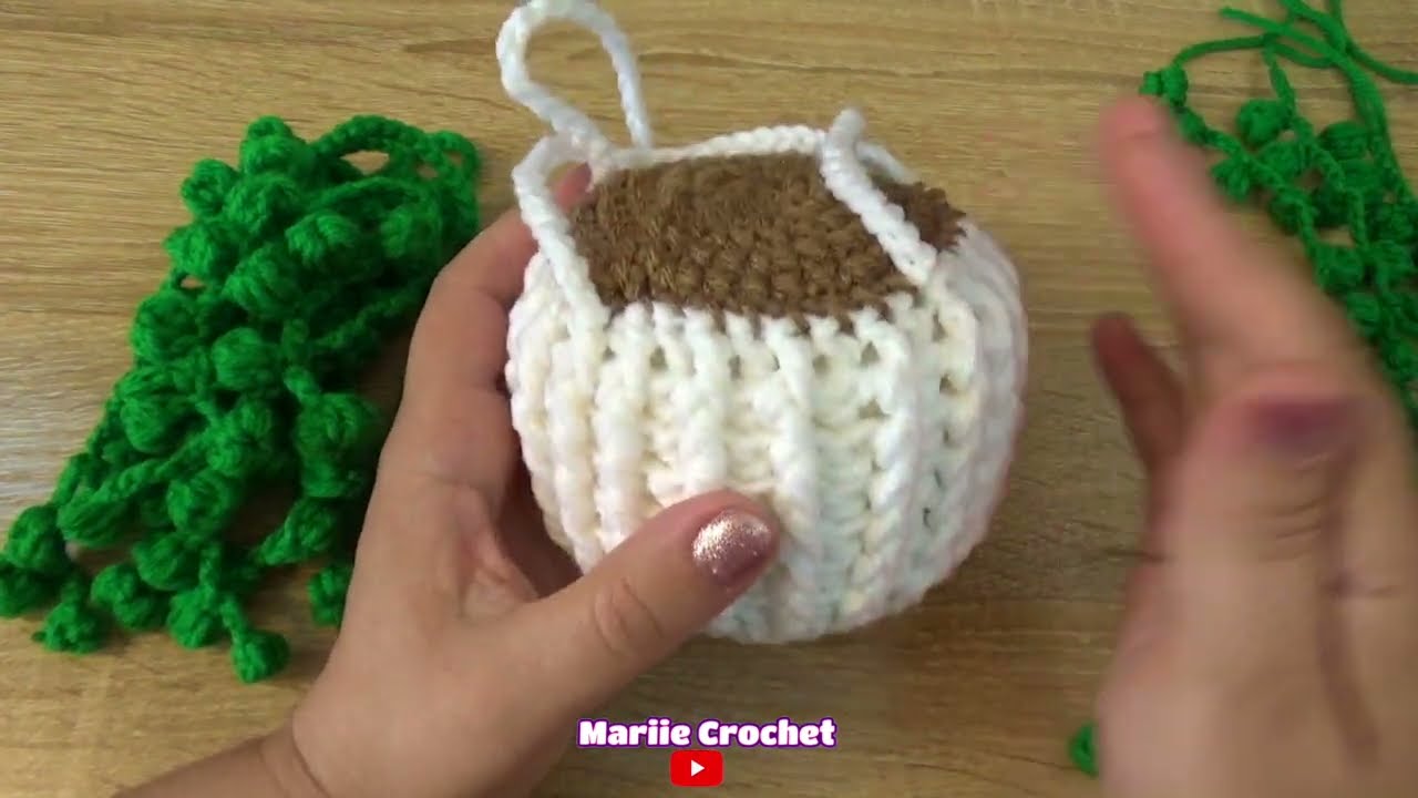 Maceta con plantas colgante a crochet 🪴