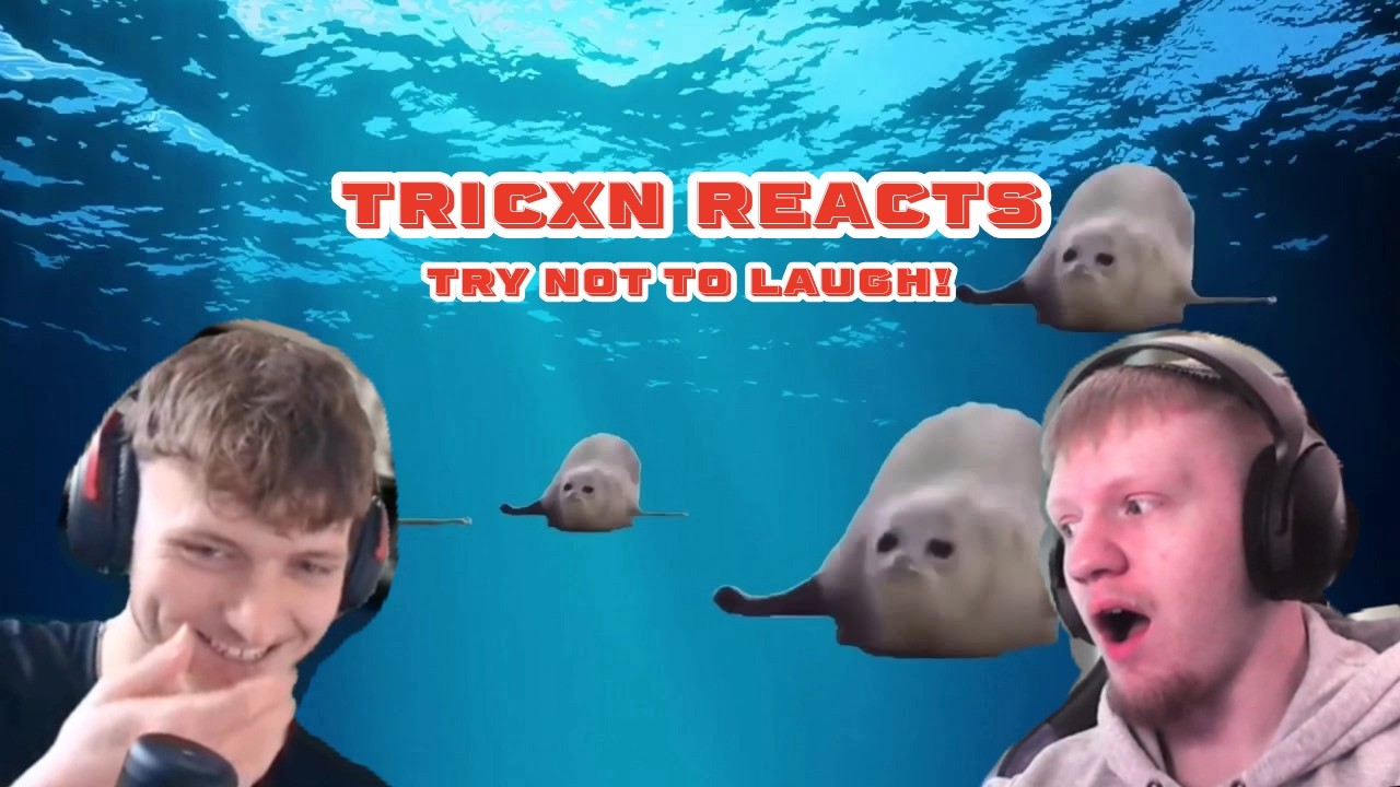 Tricxn Reacts to Try not to Laugh!