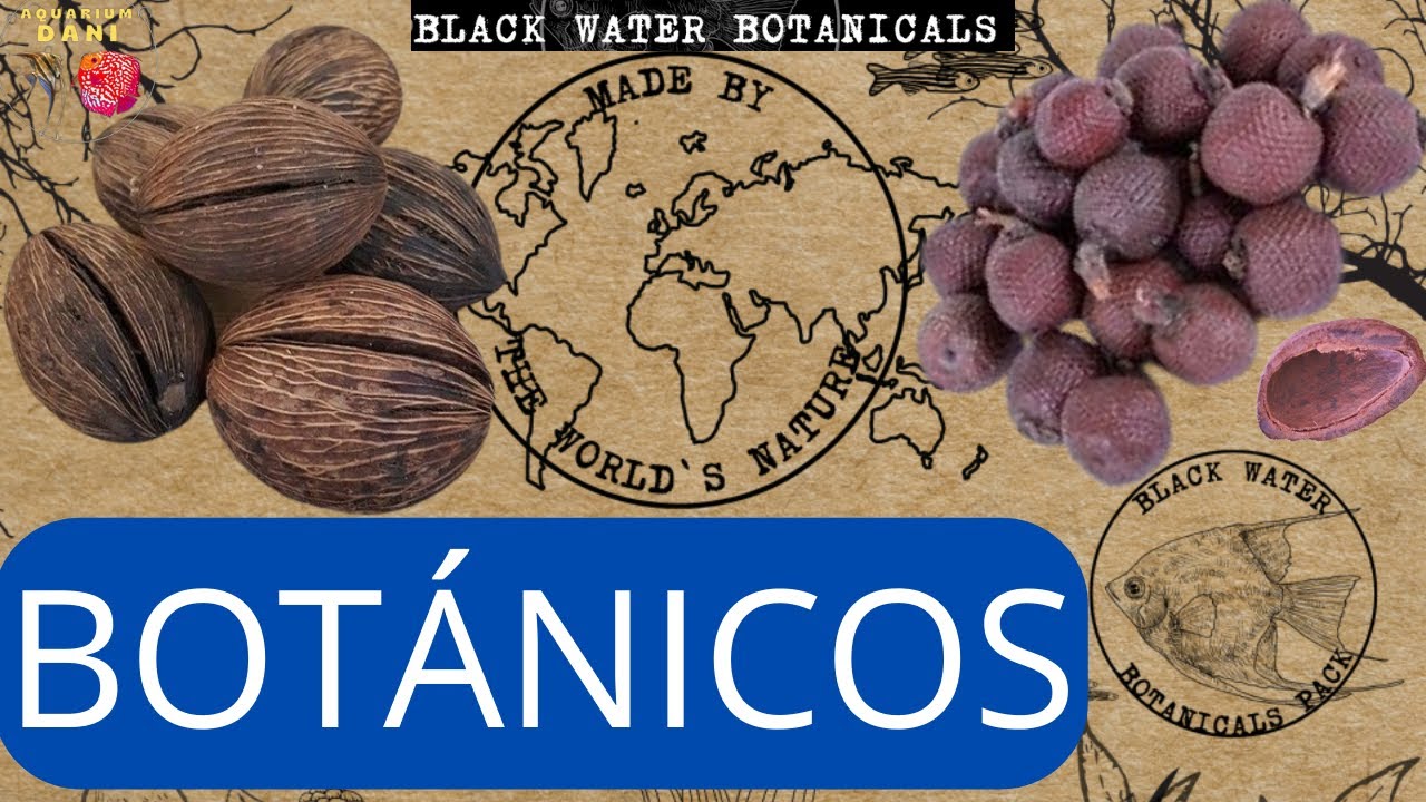 Botánicos para acuario Black Water Botanicals, taninos naturales, peces felices.