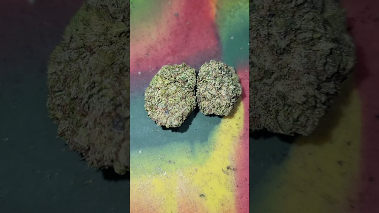 Sin City Kush #sincity #lvpk #Snowdawg #kush #420
