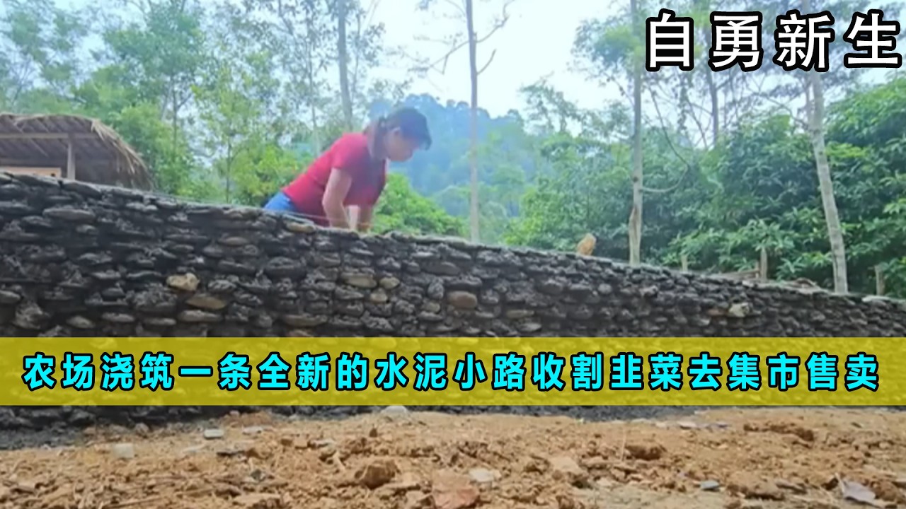 农场浇筑一条全新的水泥小路，收割韭菜去集市售卖《自立勇敢》12