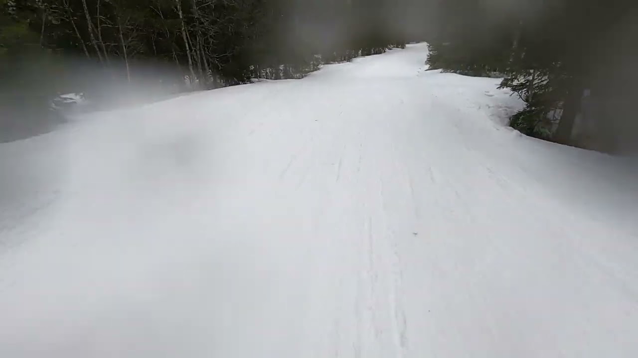 Trysil - Slope 36, green and very long forest trail. Very snowy, little snow.