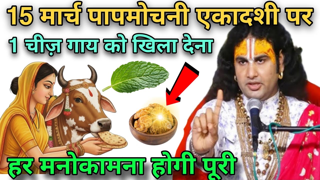 15 मार्च पापमोचनी एकादशी के दिन, चुपचाप यह 1 चीज़ गाय को खिला देना, हर मनोकामना होगी पूरी#ekadashi 