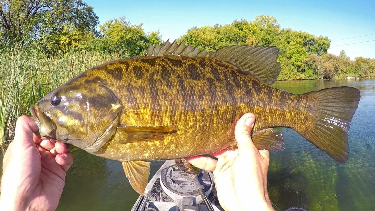 Bitsy Buggin' Some River Chunks