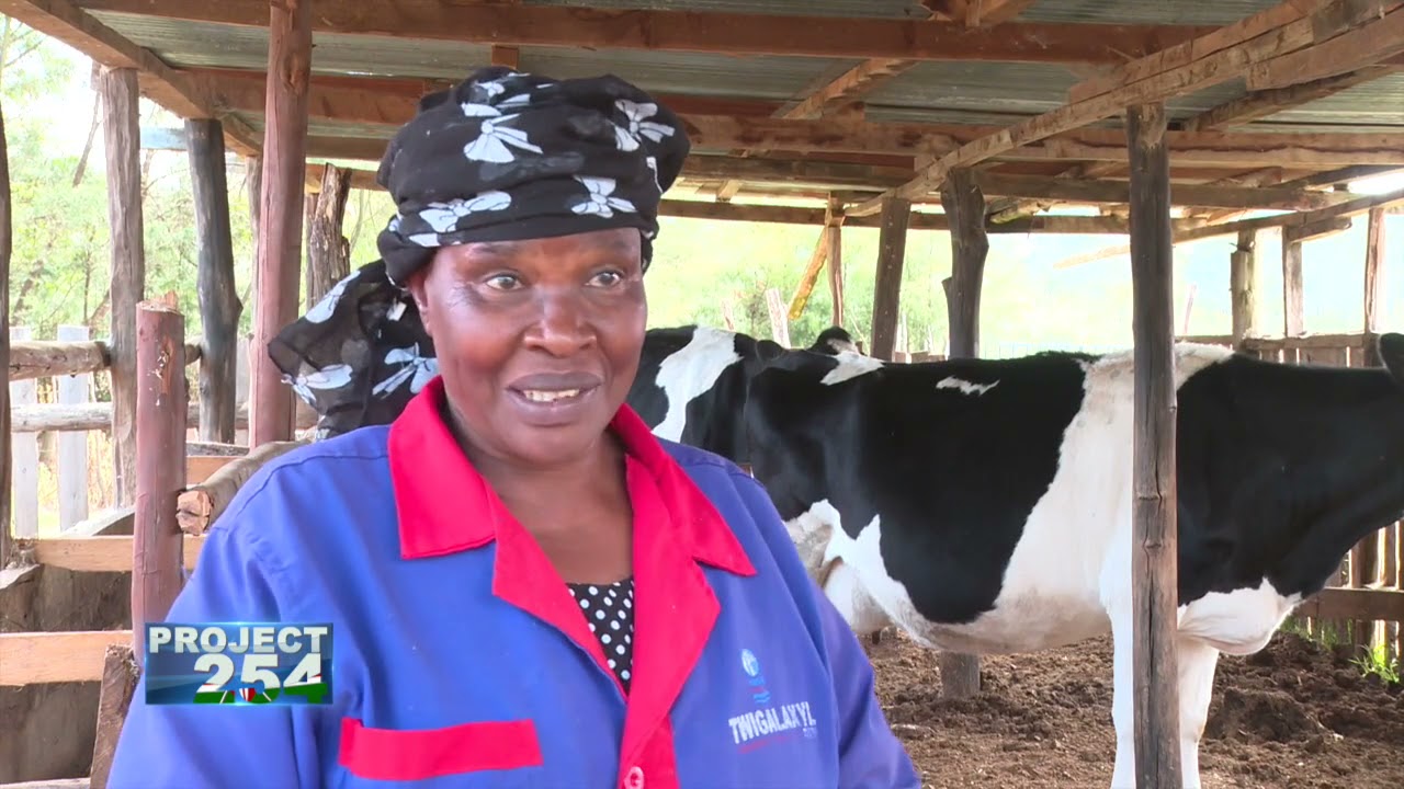 PROJECT 254, Episode 60 - MODERNIZATION OF NEW KCC FACTORIES ACROSS THE COUNTRY