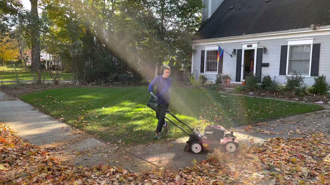 Fall mow and a leaf cleanup on an elderly clients lawn