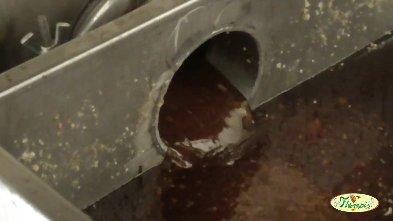spot pubblicitario azienda florapis miele biologico siciliano