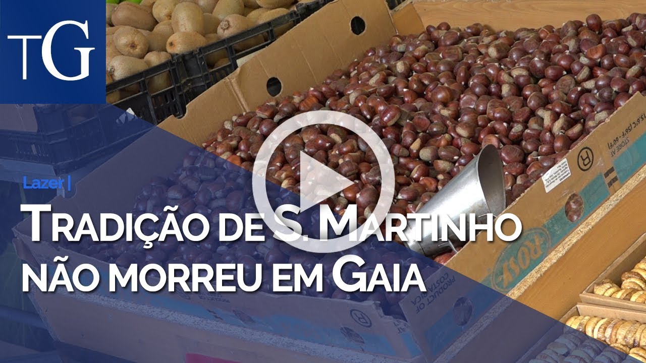 Tradi&ccedil;&atilde;o de S. Martinho n&atilde;o morreu em Gaia