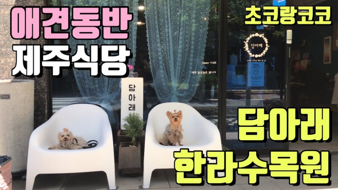 애견동반 제주식당 '담아래' 한라수목원