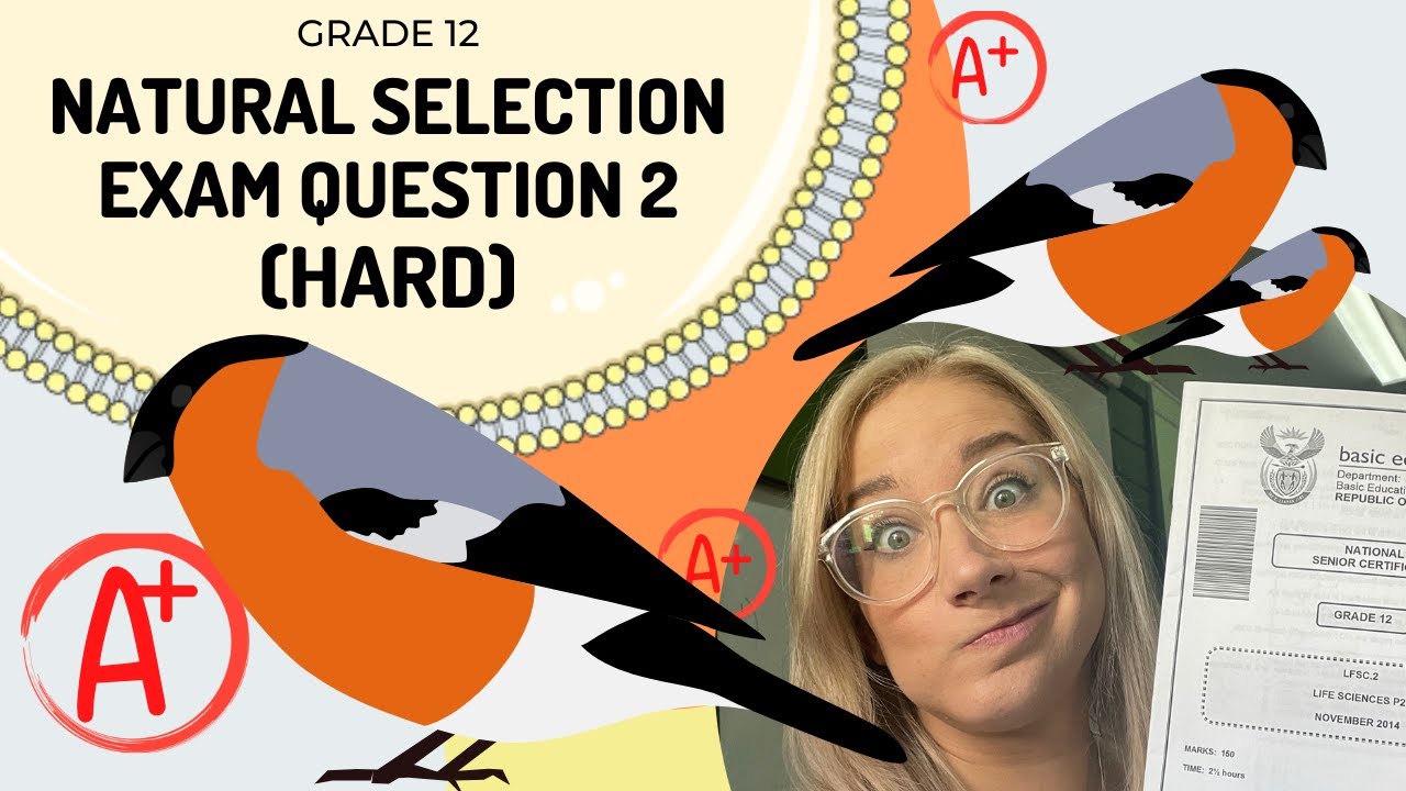 NATURAL SELELCTION EXAM Q2  (HARD)