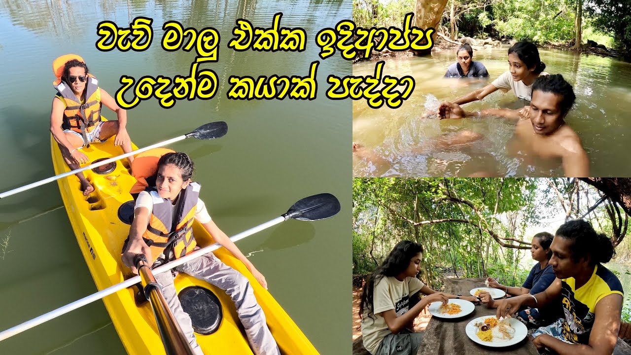 කුබුක් ගස් යට නෑවා ඔයෙන් 😍 අලි වැට වටේ අපි ඇවිද්දා අක්කර 25ක මින්නේරි කැලෙ වටේ 🧡 Habarana Forest