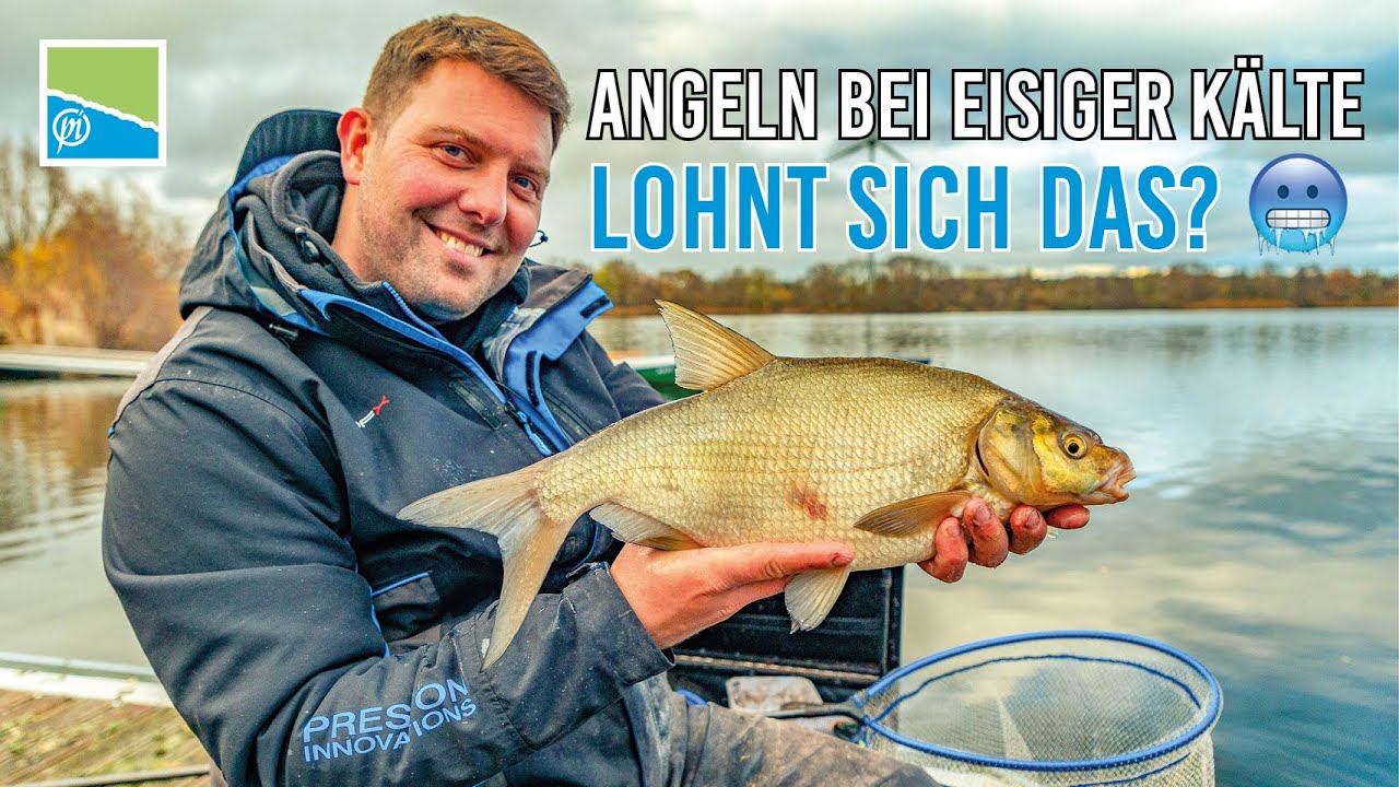 Auf Winterrotaugen mit der Feederrute 🎣