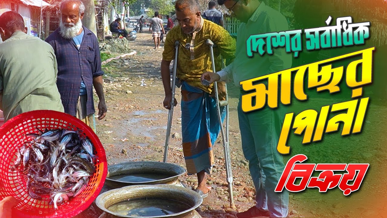 এক পায়ের মানুষের জীবন । মাছের পোনার দাম ও কোথায় পাওয়া যায়। Maser pona | Fish seed price in BD