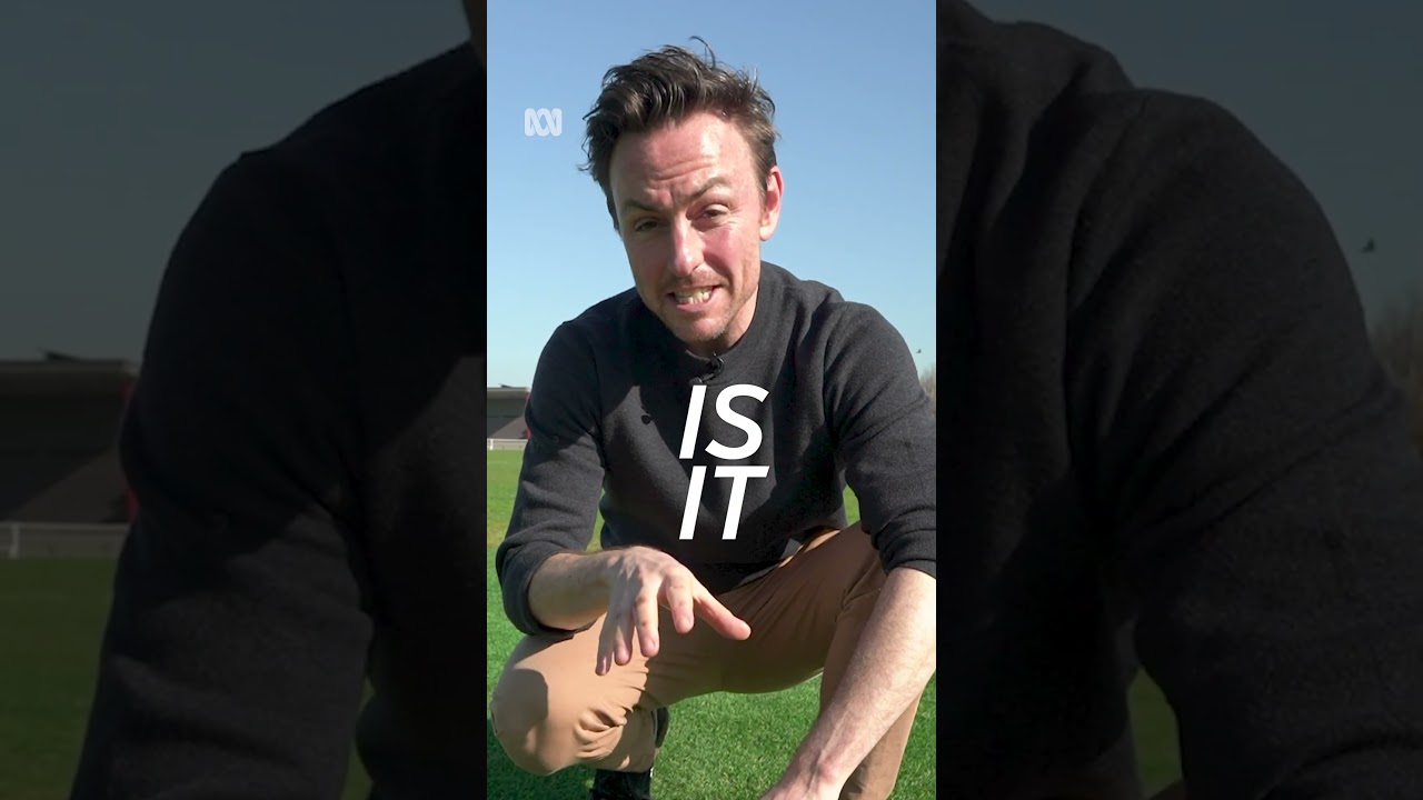 Should concrete cricket pitches be removed from footy ovals? | ABC NEWS