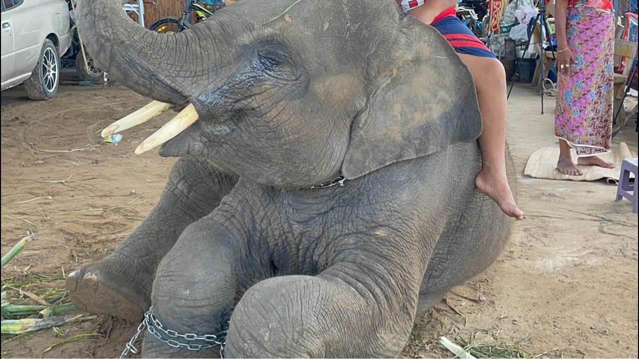 ไปขึ้นบ้านใหม่ใบบุญกัน
