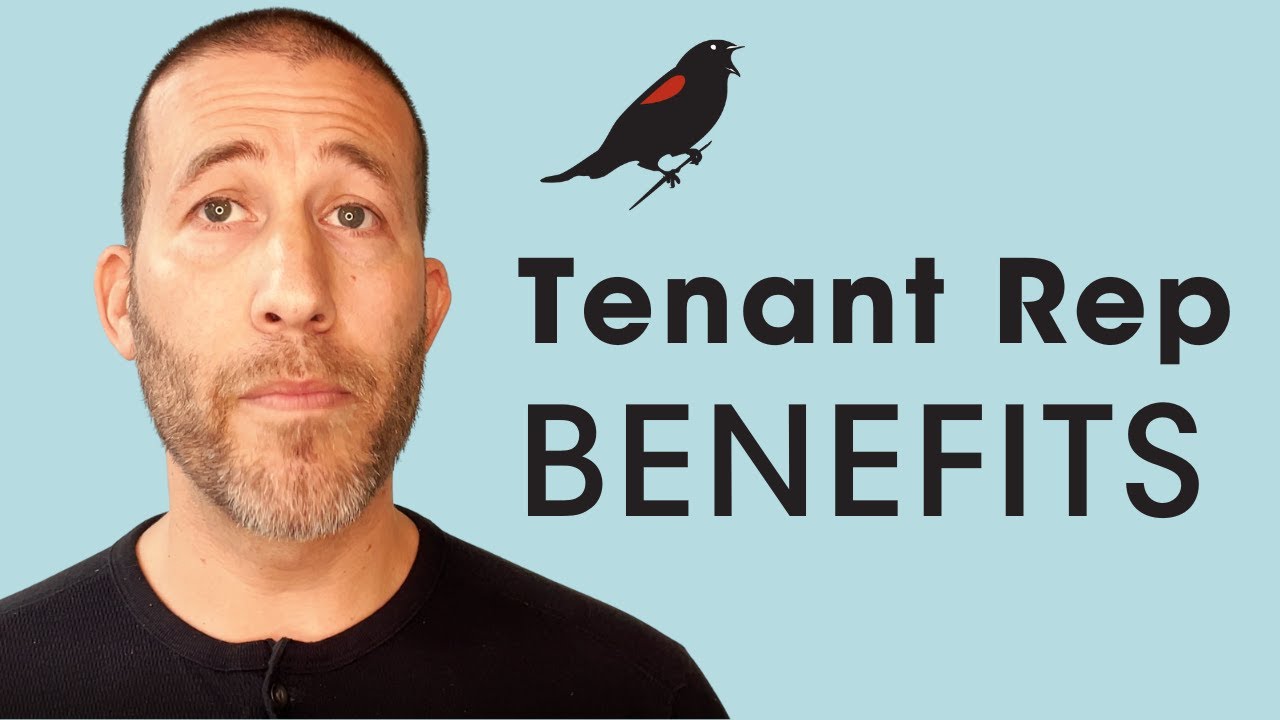 How Commercial Tenant Representation Saves Money