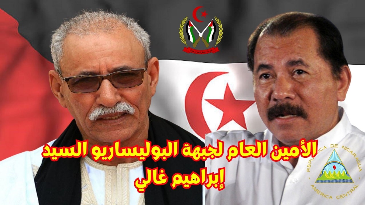 🔴النشرة الرئيسية التلفزيون الوطني الصحراوي RASD TV #الصحراء الغربية #جبهة البوليساريو  🇪🇭 🇩🇿💓✌