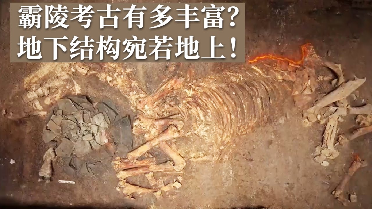 霸陵考古提供众多实物资料！陵园外发现与地上对应的地下“官署”和地下“动物园”！《探索·发现》寻找霸陵 第二季（下）丨 中华国宝