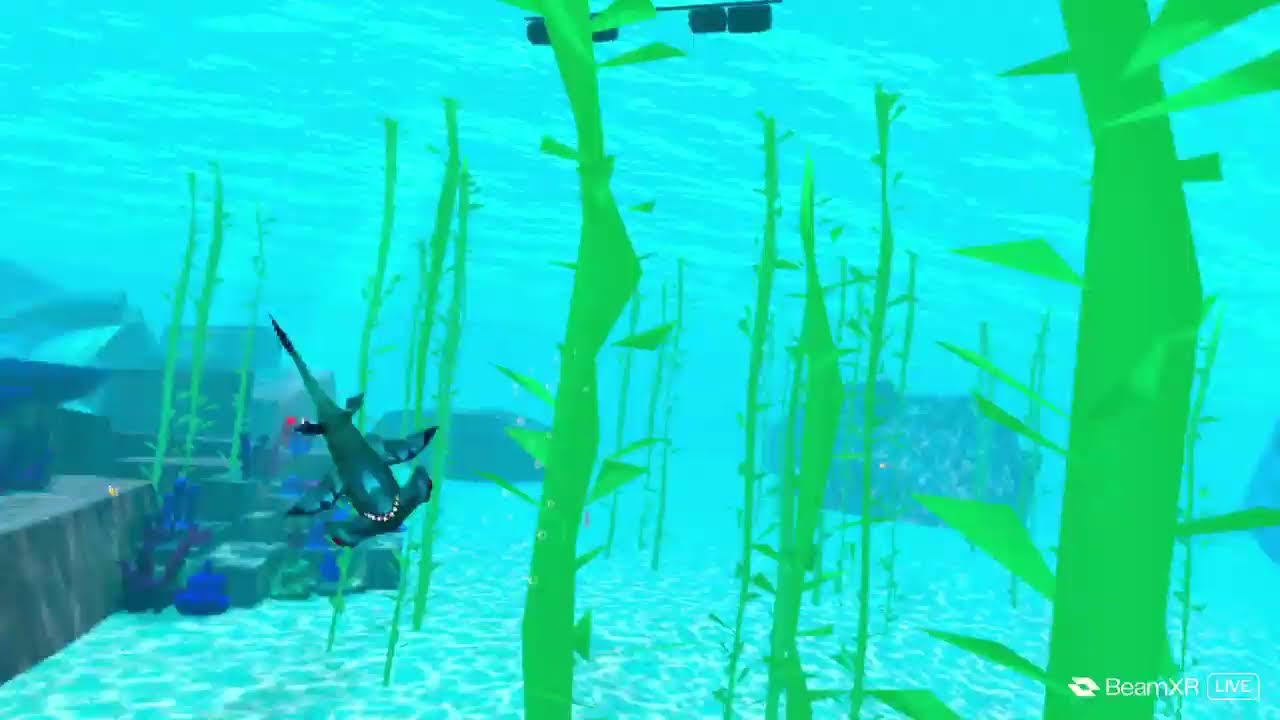 Playing shark go update code 35241