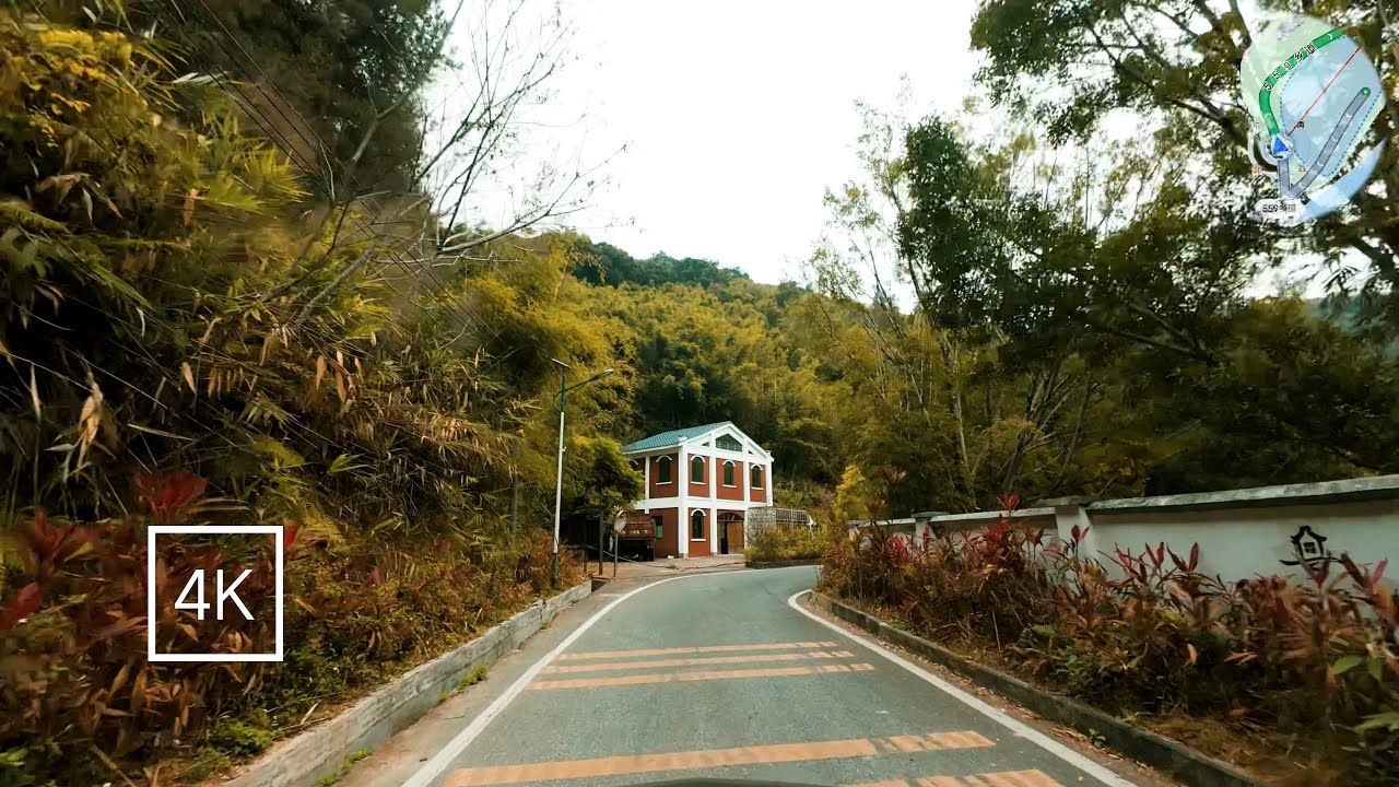 绥江竹海自驾穿越 - Bamboo Sea Scenic Drive - Immersive ASMR Nature Sounds | 4K No Talking