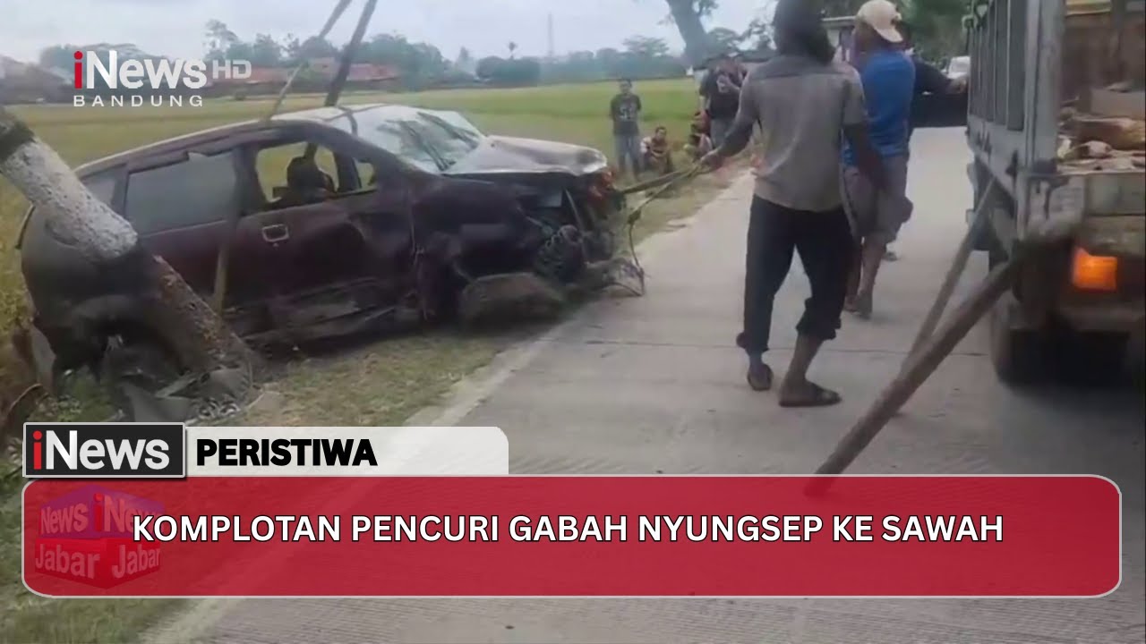 Sindikat Pencuri Gabah Di Pangandaran Nyungsep Ke Sawah