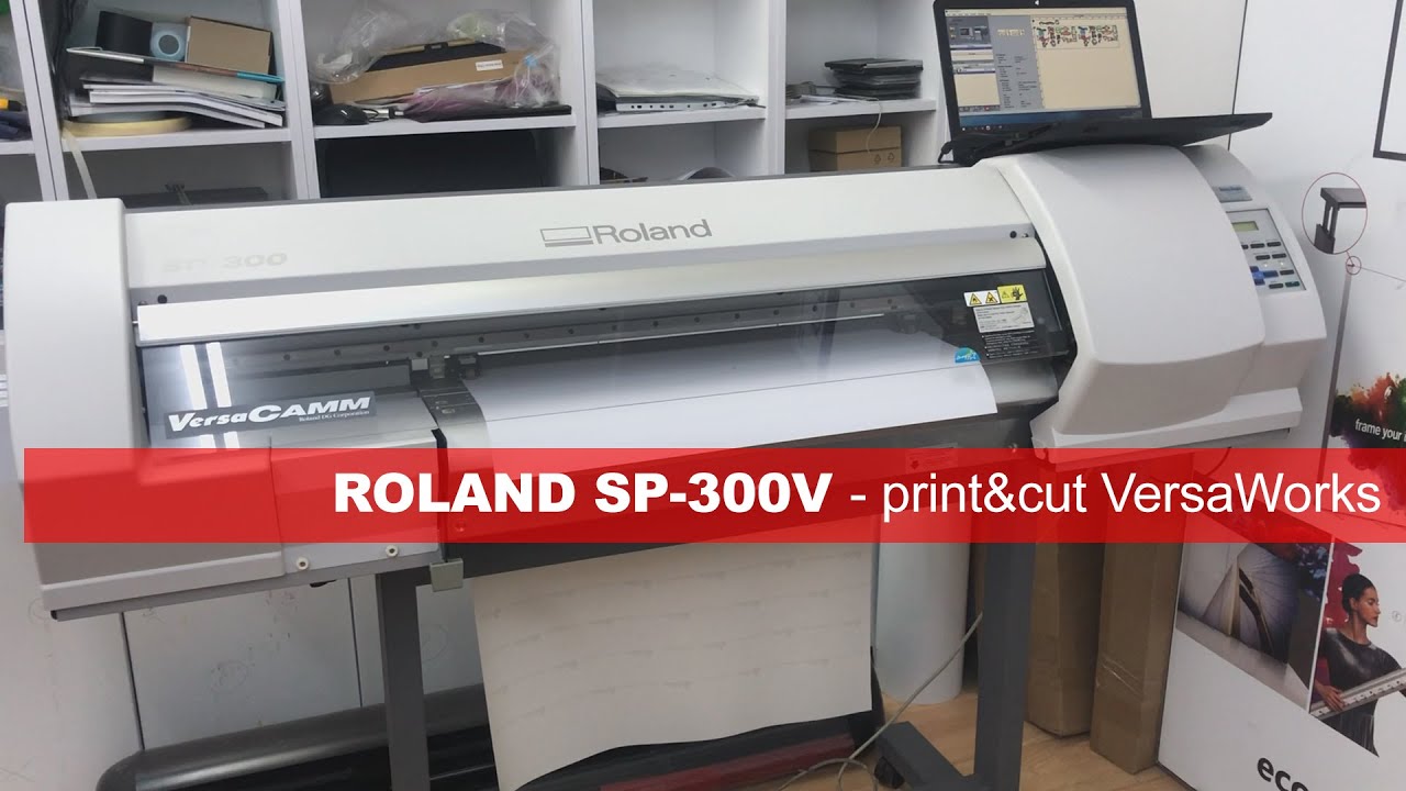 Roland SP-300V - test print&cut