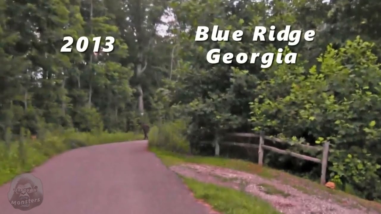 2013 Bigfoot Video - Blue Ridge, Georgia: Observe as a man pursues a sasquatch into the forest!