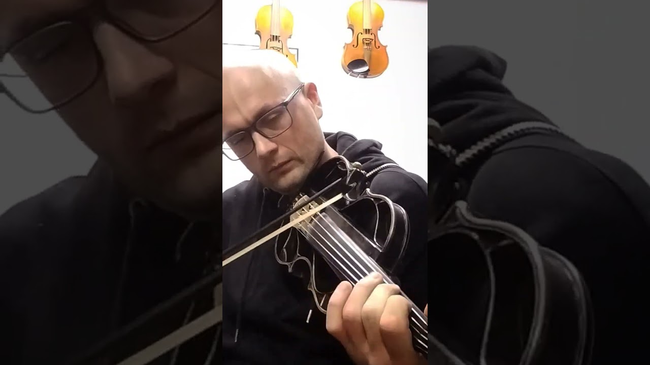 Rammstein - Ohne dich - violin cover 🎻