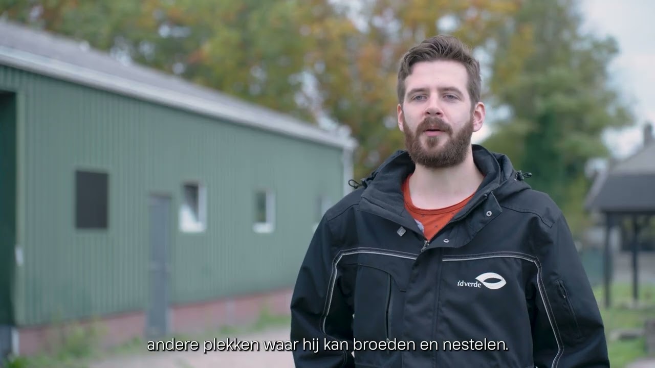 De ecoloog over bomen, uilen en bouwen