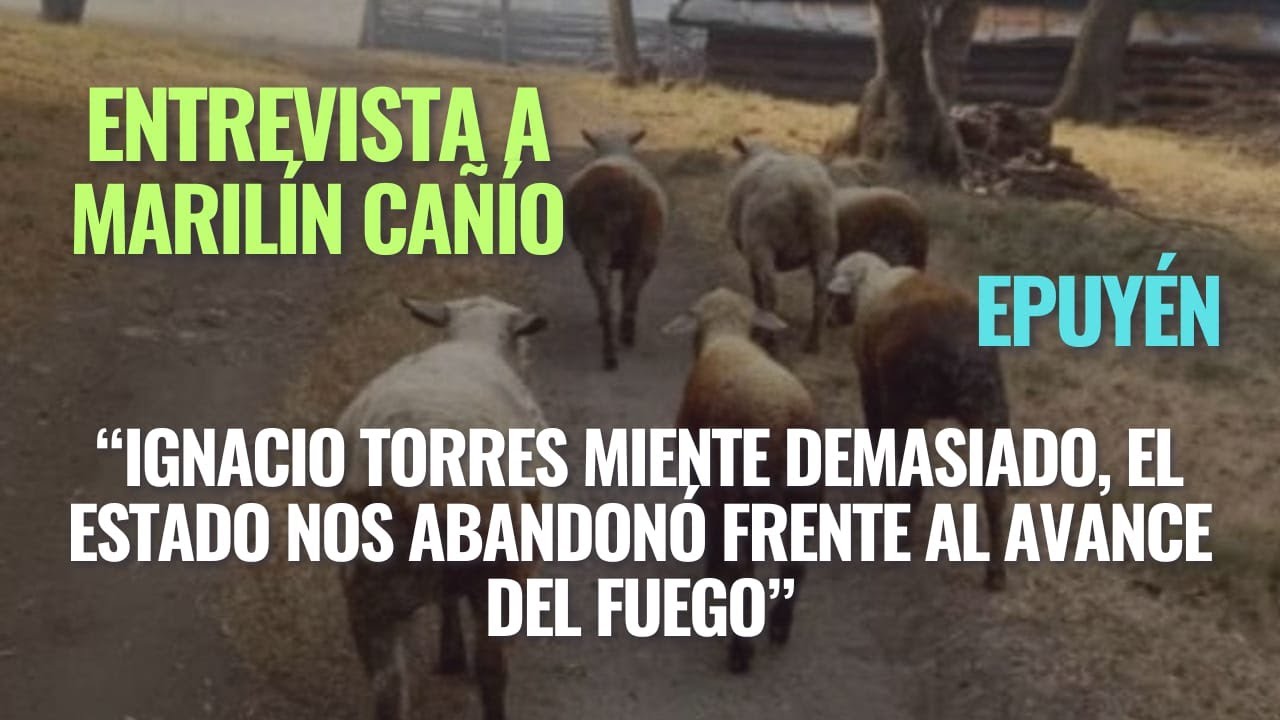 “IGNACIO TORRES MIENTE DEMASIADO, EL ESTADO NOS ABANDONÓ FRENTE AL AVANCE DEL FUEGO”