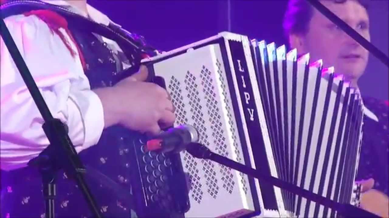 Ansambel Lipovšek - Bodoča mamica (MGNZ 2014)
