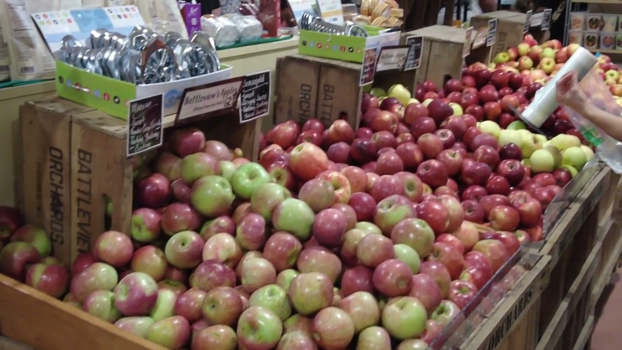 New Jersey Apple Picking at Battleview Orchards  Walk around 2024