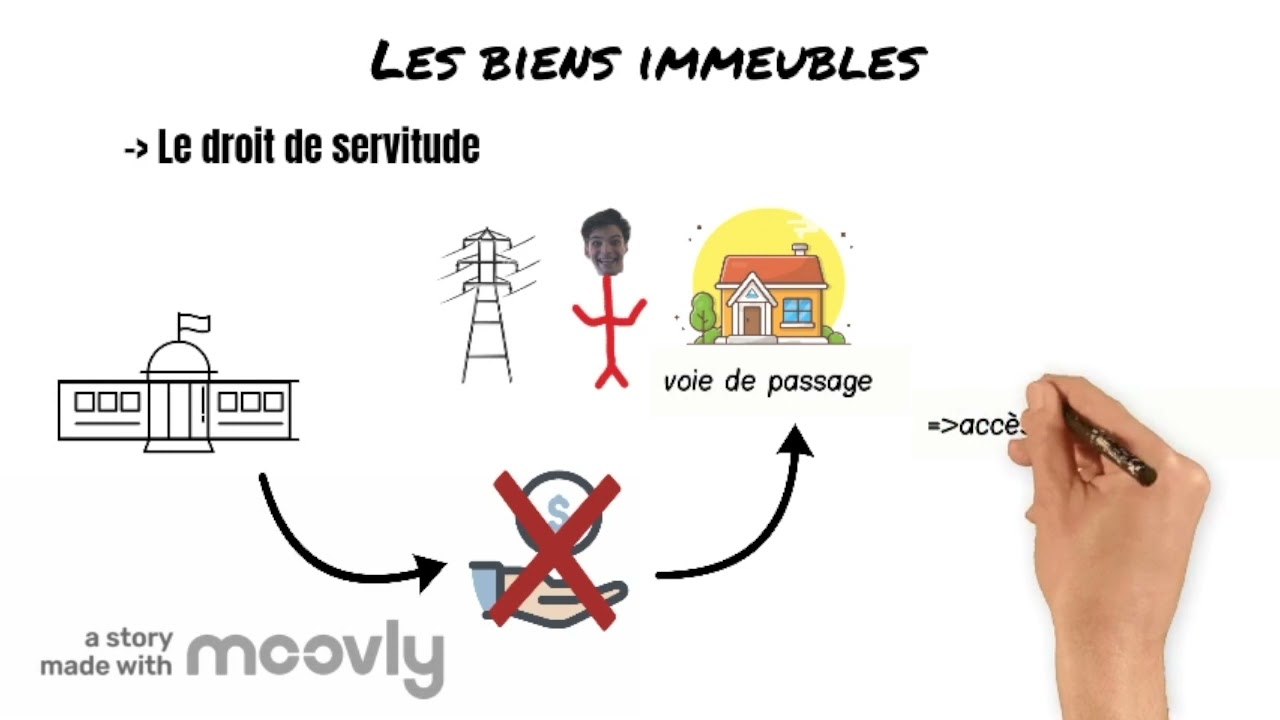 Biens et patrimoine- cours de droit