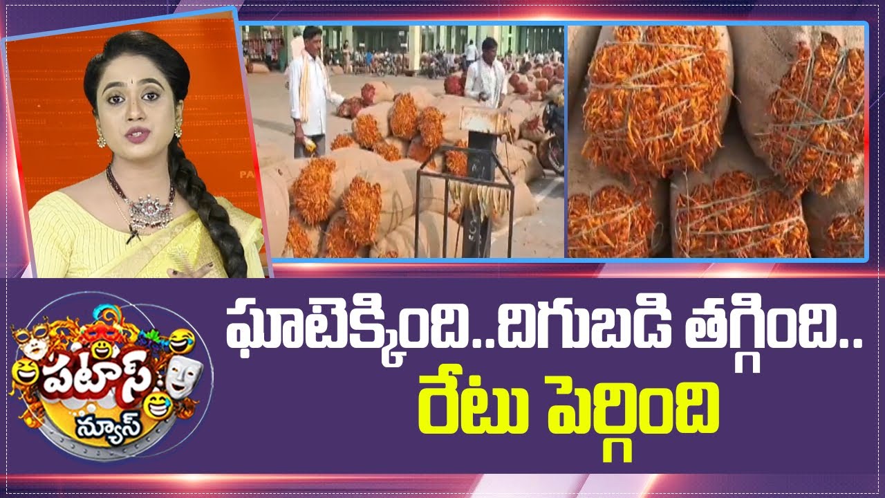ఘాటెక్కింది..దిగుబడి తగ్గింది..రేటు పెర్గింది | Dry Red Chilli Prices Are Rising in India | 10TV