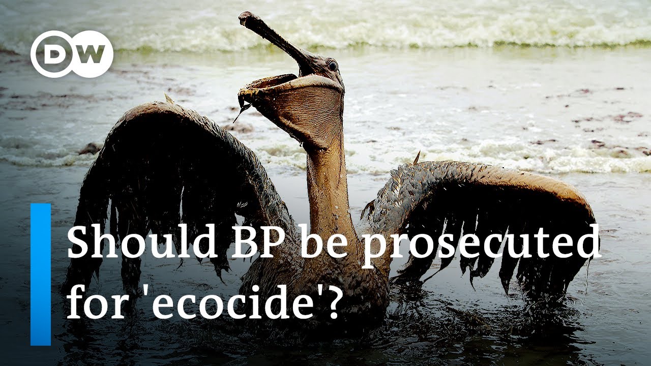 Growing push to make 'ecocide' an international crime | DW News