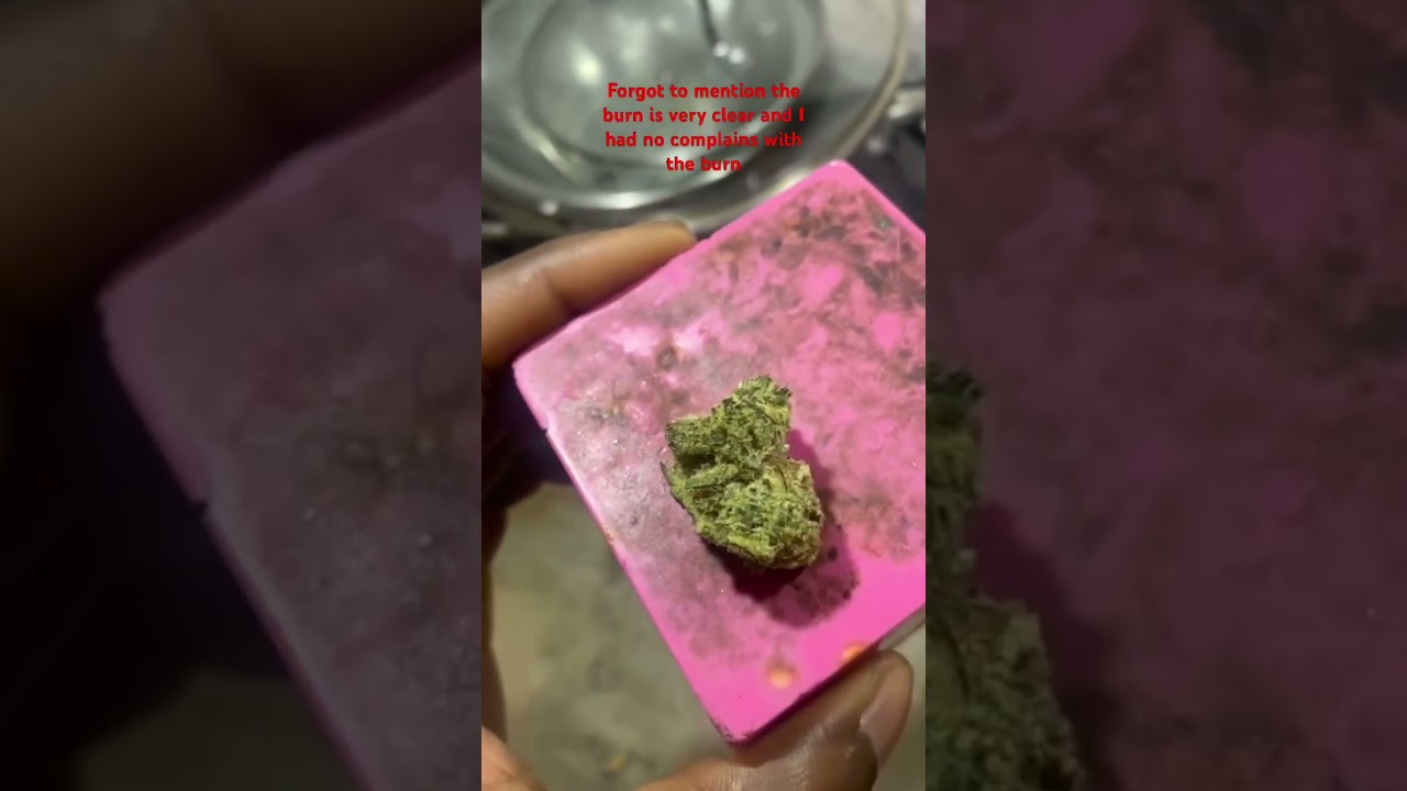SQDC Neon Sunshine Hybrid strain review