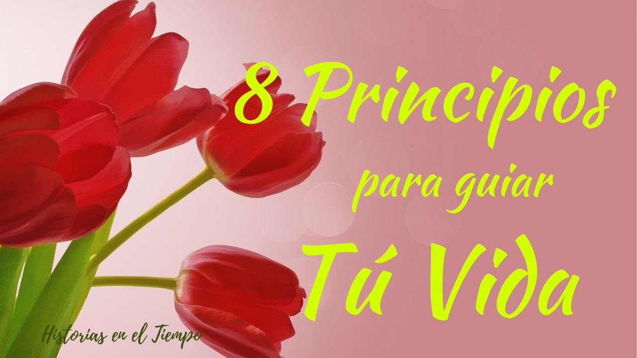 Los 8 PRINCIPIOS para CONDUCIRTE por la VIDA