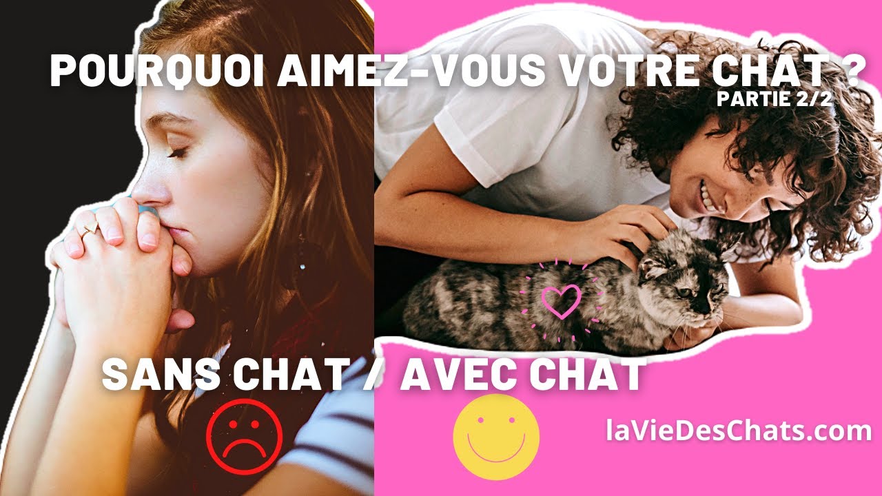 POURQUOI VOUS AIMEZ VOTRE CHAT - PARTIE 2/2 - L'&eacute;tude scientifique