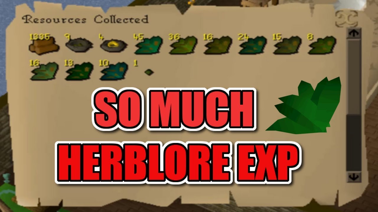 MANAGING KINGDOM #4 (Ironman OSRS)