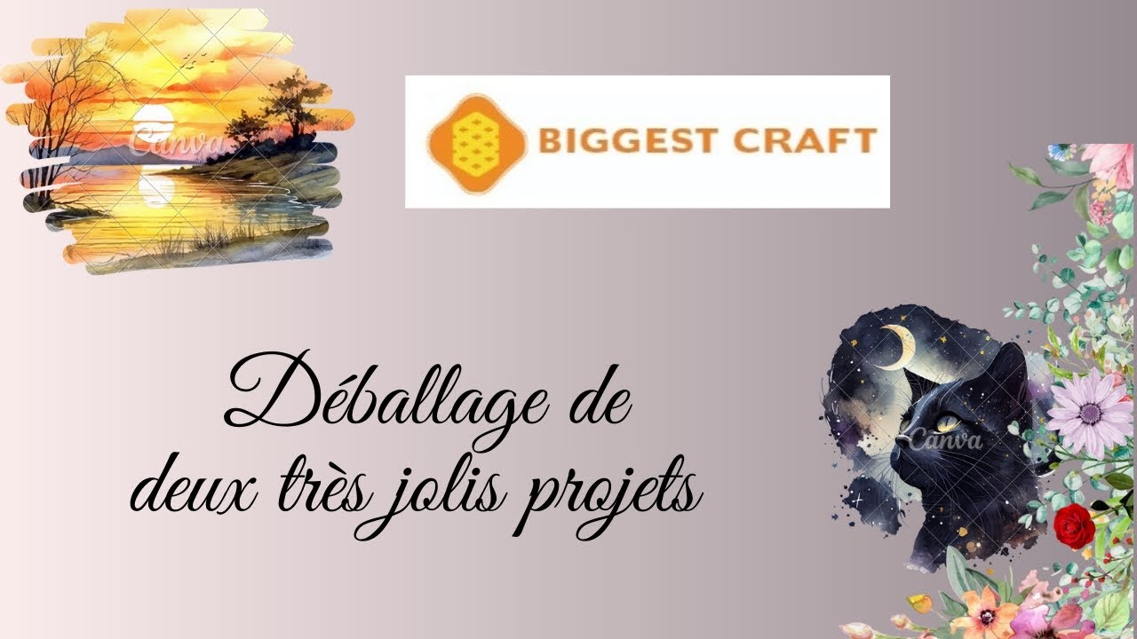 Unboxing #biggestcraft #crossstitch #pointdecroix #stampedcrossstitch #embroidery
