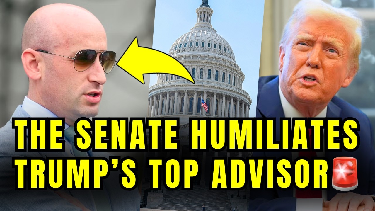 🚨Trump CRINGES As Stephen Miller Just Got PUT DOWN BY THE SENATE