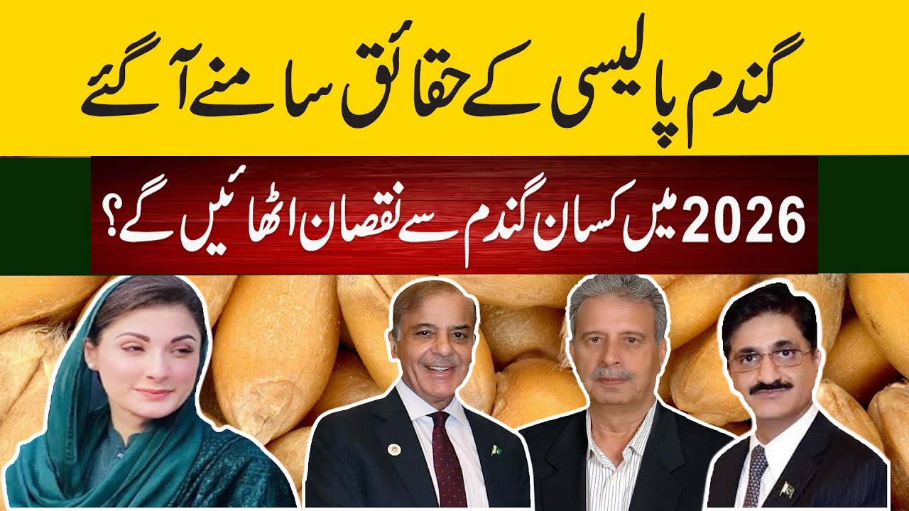 wheat policy of pakistan 2026 inside story