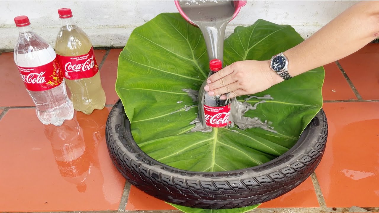 Designer Outdoor Water Fountain | Creative Aquarium with Cement and Leaf