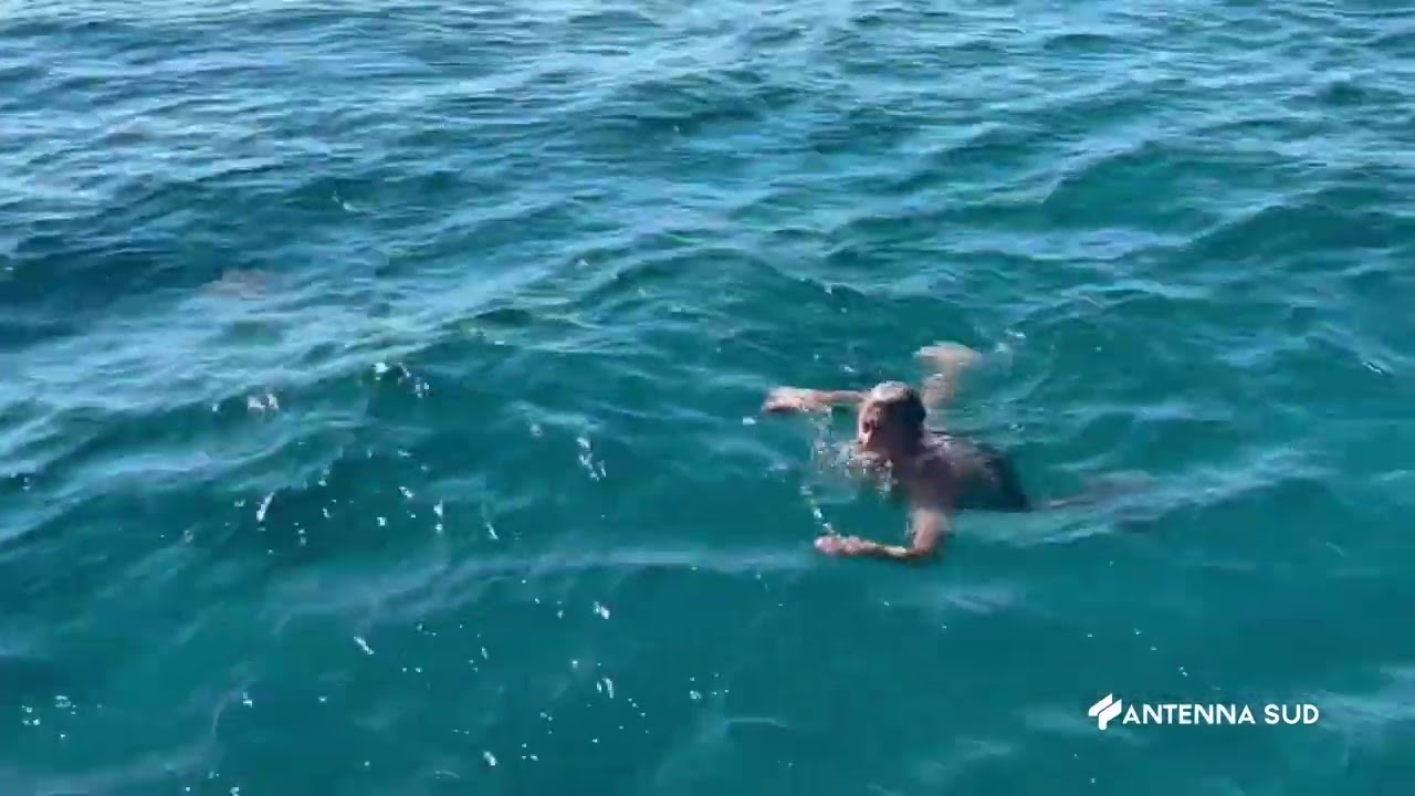 11 Settembre 2023   salento, mare invaso da meduse giganti