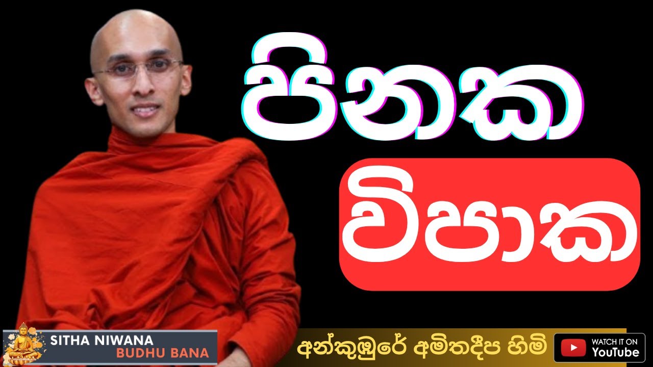 Ankumbure Amitha Deepa Himi Mahamevnawa Dharma Deshana New | පිනක විපාක | Sitha Niwana Budhu Bana